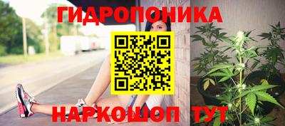 стафф Берёзовский