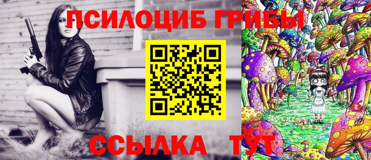 цены   Вход с VPN  Псилоцибиновые грибы Magic Shrooms  Кингисепп  Псилоцибиновые грибы Psilocybine cubensis 