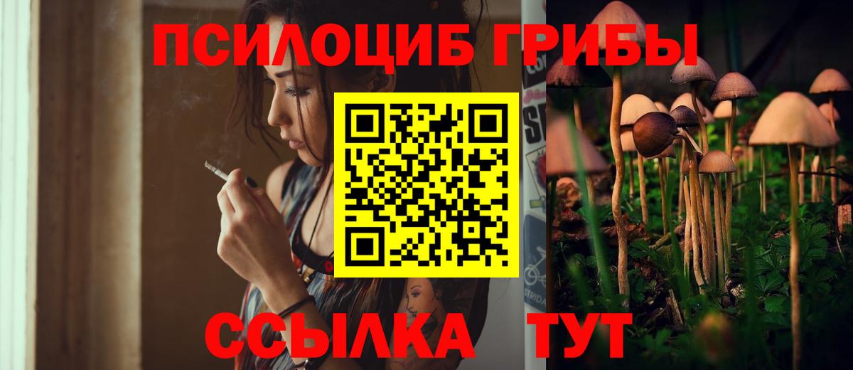 Галлюциногенные грибы Cubensis Кингисепп